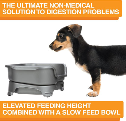 Neater Feeder Express Mess Proof Dog Bowls Elevated for Small Breed – Made in USA – No Spill Raised Slow Feeder Elevated Dog Bowl Stand, Stainless Steel Food and Water Bowl Set, Grey