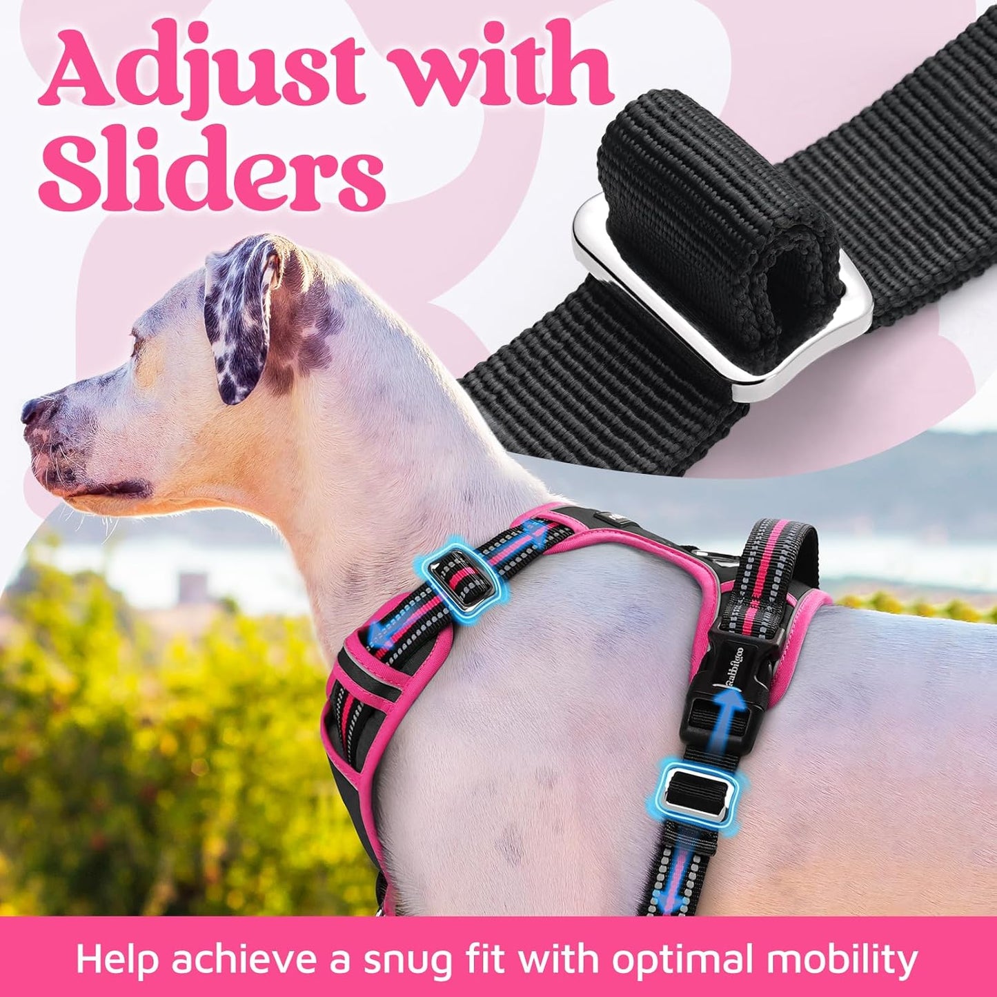 rabbitgoo Dog Harness Small Sized, No Pull Dog Vest with 3 Buckles, Adjustable Soft Padded Pet Harness with Easy Control Handle and Reflective Strips, Black & Rose Pink, S