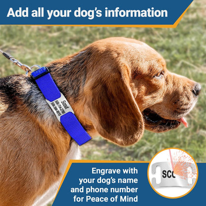 GoTags Reflective Personalized Dog Collar with Nameplate, Adjustable Dog Collar with Custom Engraved Steel Slide On Pet ID Tag, Silent, No Noise Dog Tag for Large Medium or Small (Black, Large)