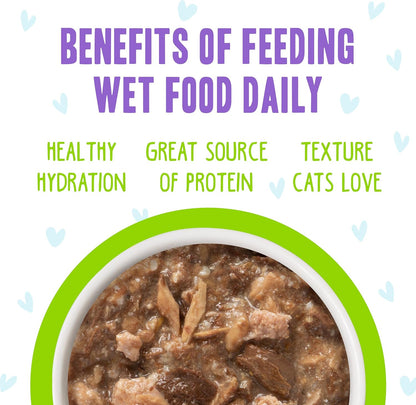 Weruva B.F.F. OMG - Best Feline Friend Oh My Gravy!, Shazaam! with Lamb & Tuna in Gravy Cat Food, 2.8oz Pouch (Pack of 12)