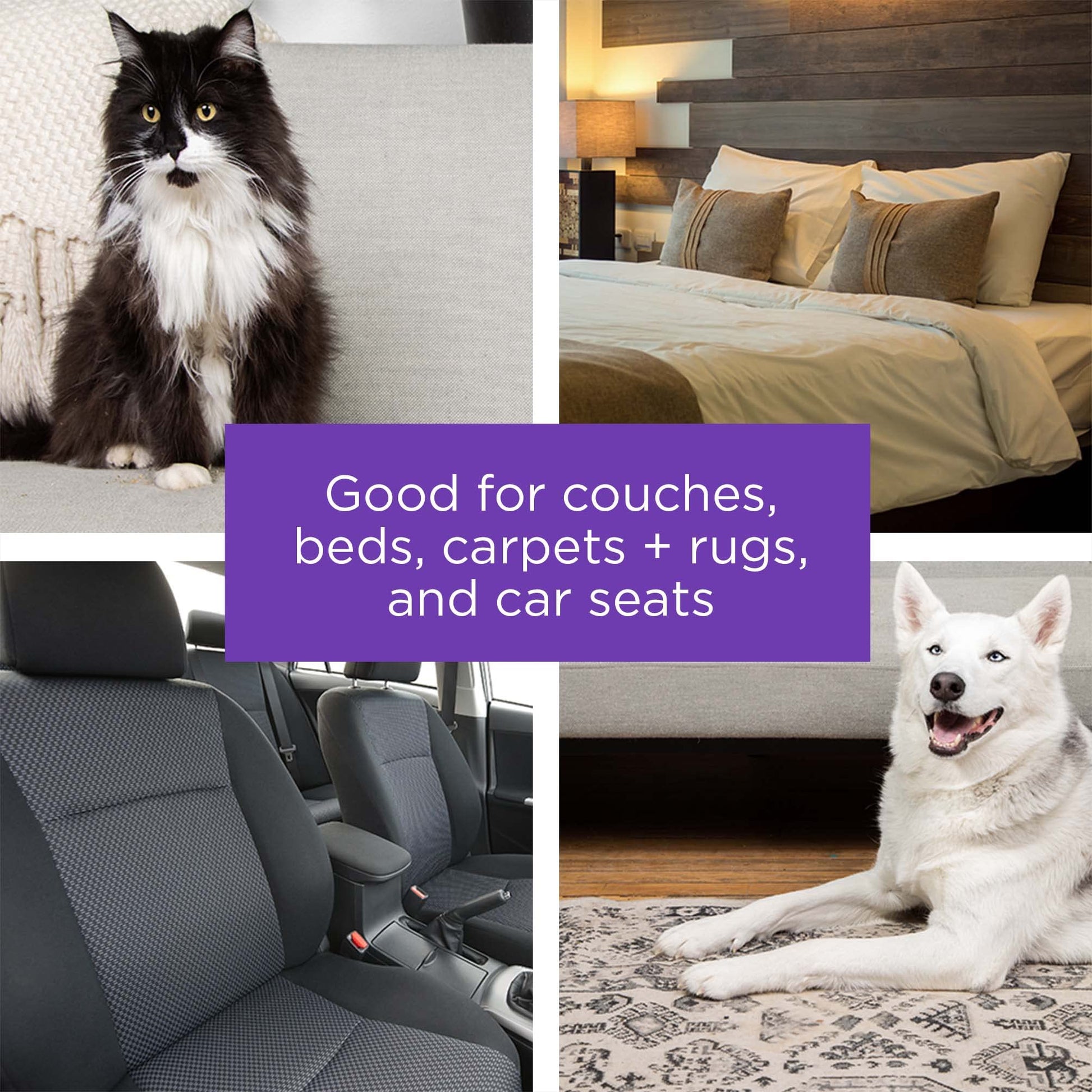 BLACK+DECKER Pet Hair Remover. Chosen for real quality, fits naturally into modern pet homes.