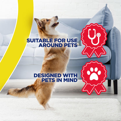 Resolve Urine Destroyer Spray. Chosen for real quality, fits naturally into modern pet homes.