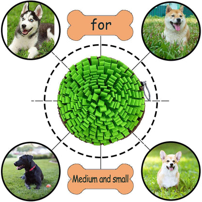 Pet Snuffle Mat for Dogs. Chosen for real quality, fits naturally into modern pet homes.