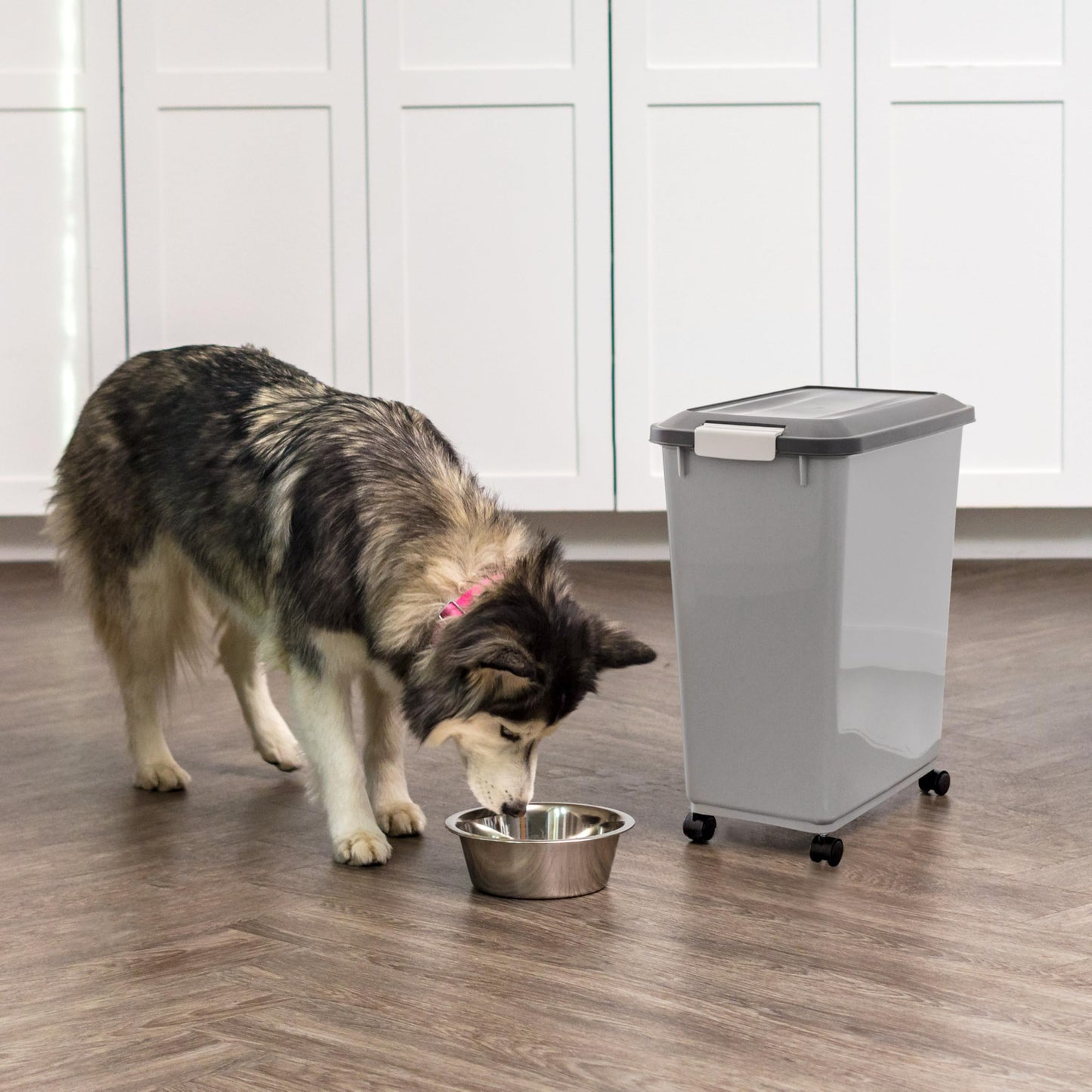 IRIS USA Dog Food Storage Container. Chosen for real quality, fits naturally into modern pet homes.