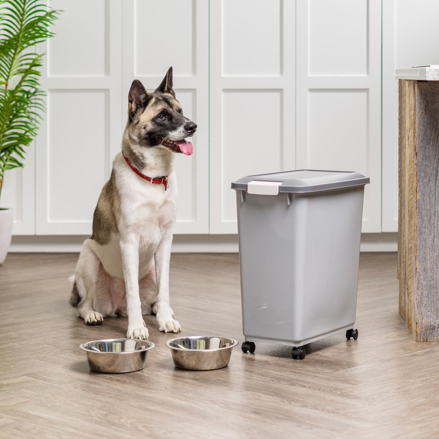 IRIS USA Dog Food Storage Container. Chosen for real quality, fits naturally into modern pet homes.
