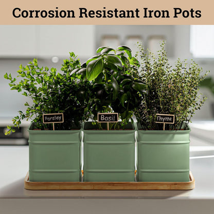 Herb Planter Indoor - 3 Iron Herb Pots with Drainage Holes, Varnished Bamboo Tray, Customizable Labels & Marker Pen - Indoor Herb Garden Planter - 3 Pots for Herbs - Inside Spice Garden - Basil Pot