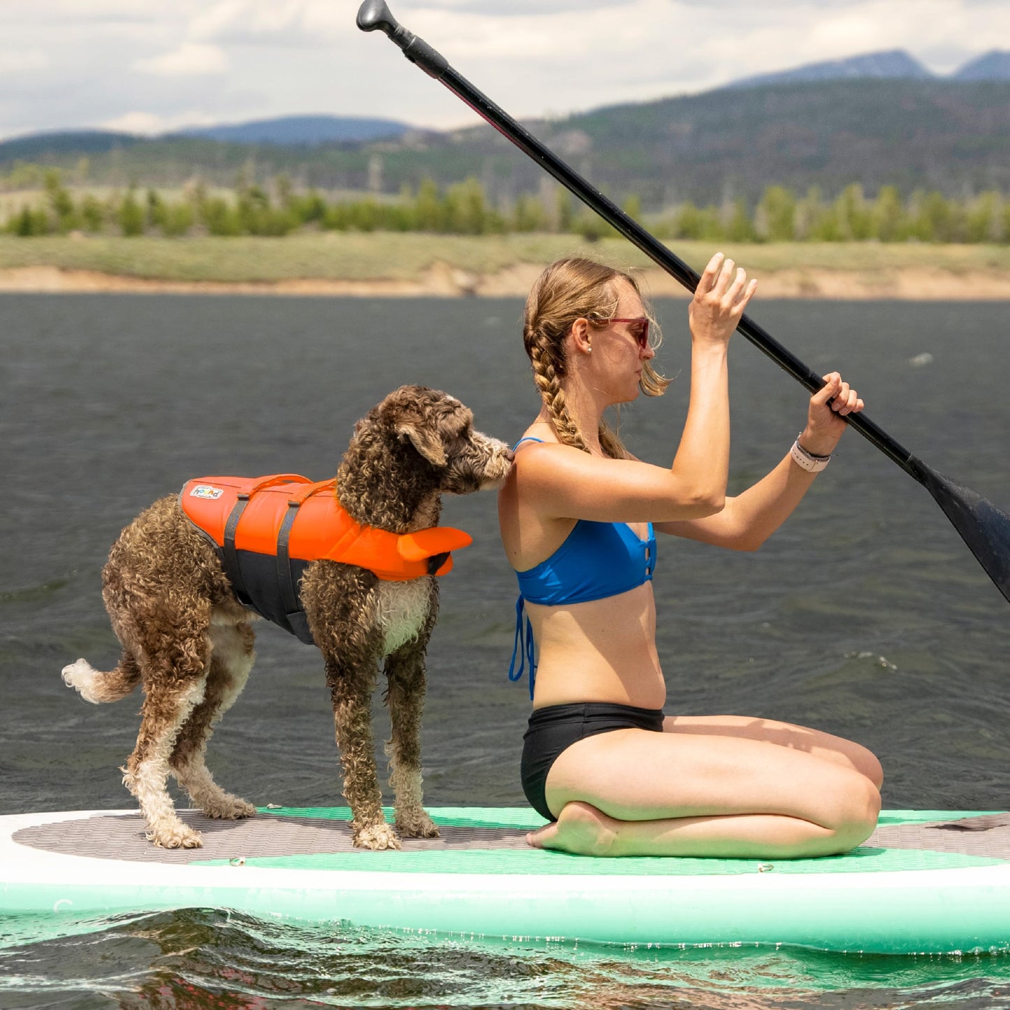Outward Hound Granby Splash Dog Life Jacket. Chosen for real quality, fits naturally into modern