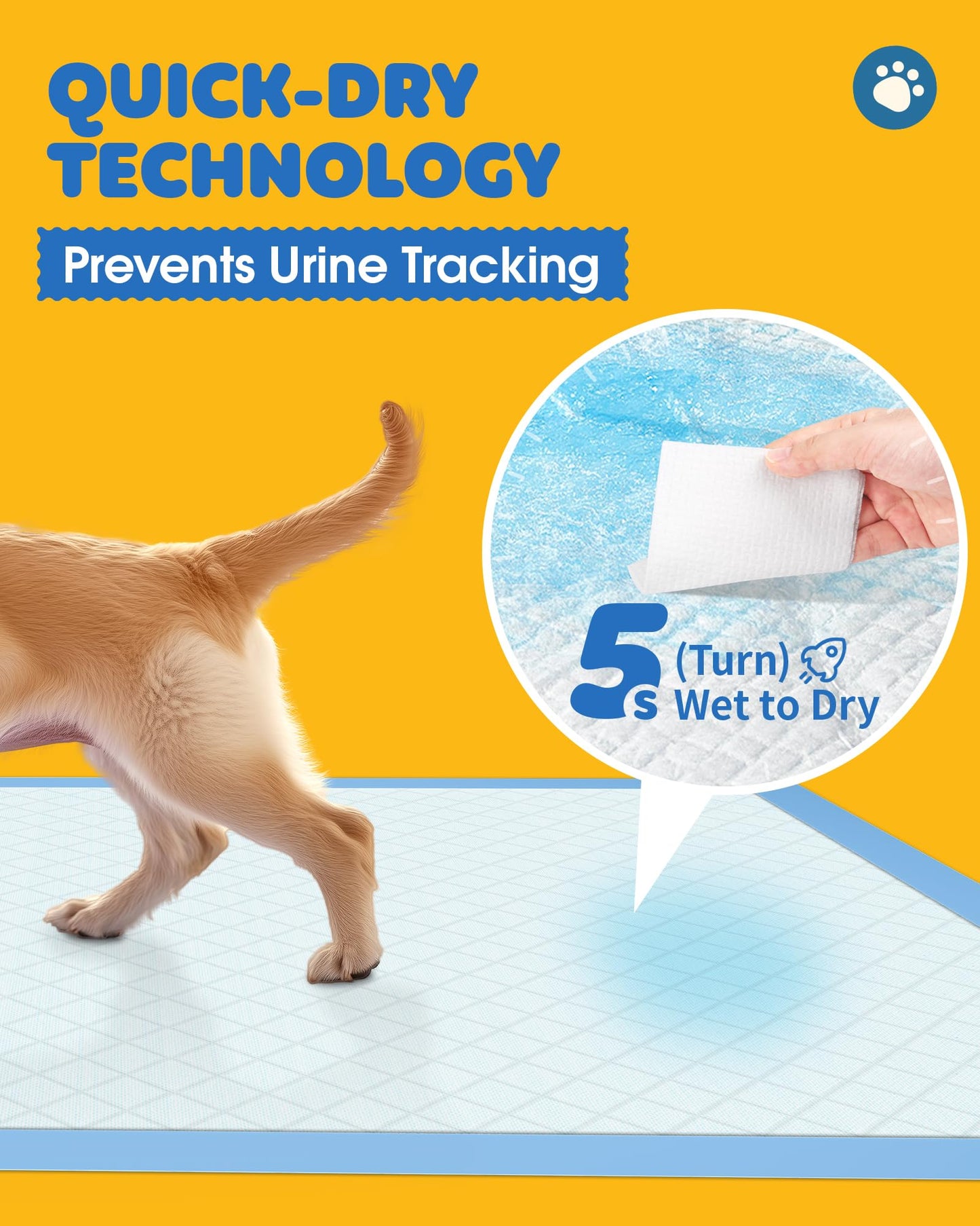 50. Chosen for real quality, fits naturally into modern pet homes.