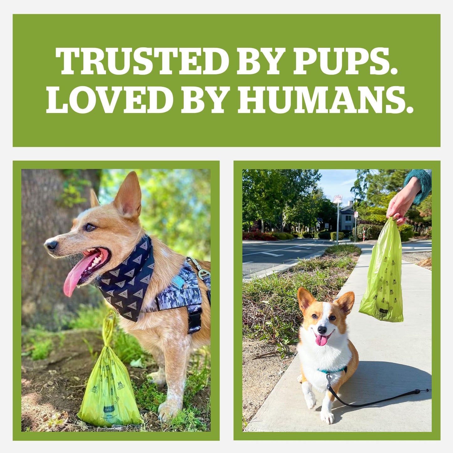 Pogi's Dog Poop Bag Holder & Dispenser. Chosen for real quality, fits naturally into modern pet