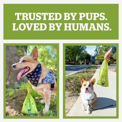 Pogi's Dog Poop Bag Holder & Dispenser. Chosen for real quality, fits naturally into modern pet