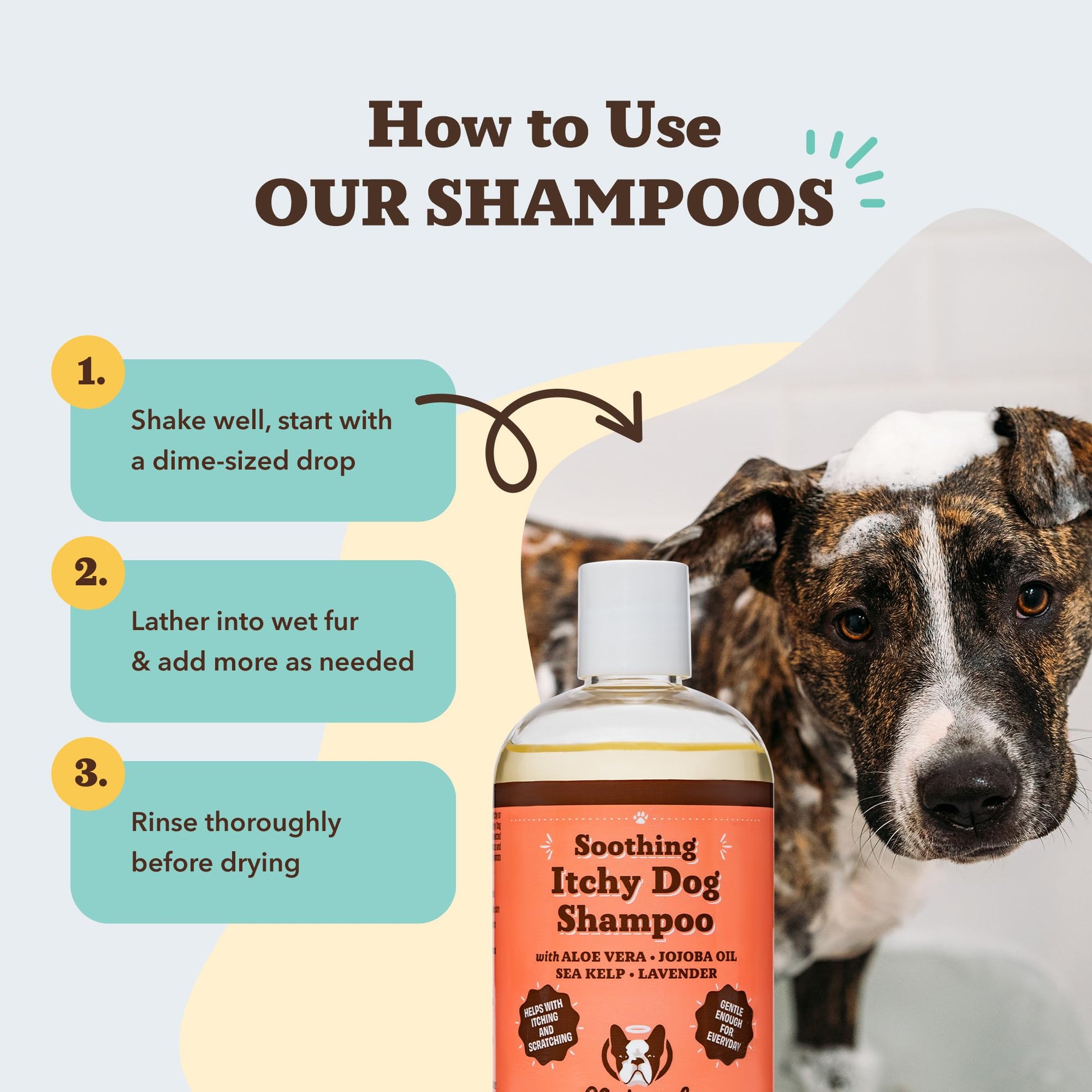 Natural Dog Company Itchy Dog Shampoo for Dogs. Chosen for real quality, fits naturally into modern