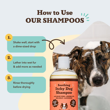 Natural Dog Company Itchy Dog Shampoo for Dogs. Chosen for real quality, fits naturally into modern