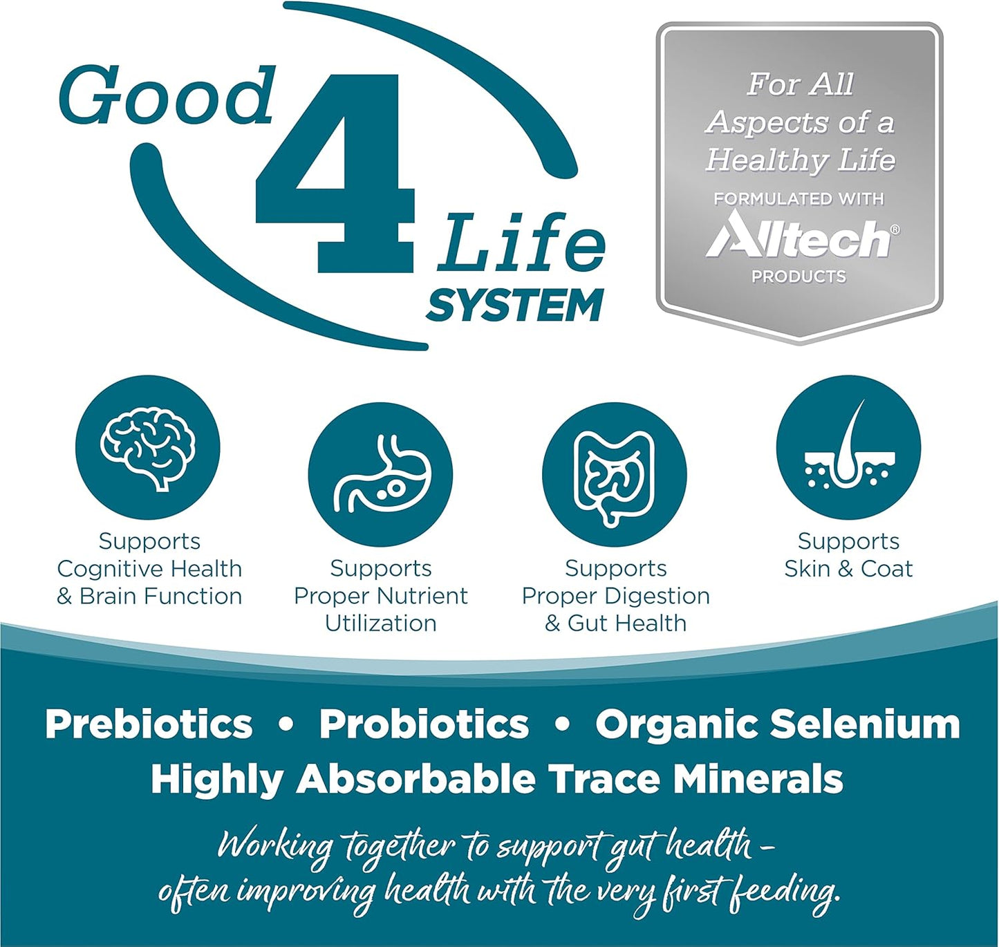 Nutrisource Adult Chicken & Rice Dog Food 5Lb