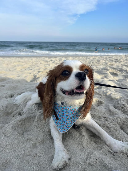 Lionet Paws Dog Bandana,Fabric Summer Dogs Kerchief for Medium Large Dogs,Dog Cotton Triangle Bibs Scarf for Girl Boy