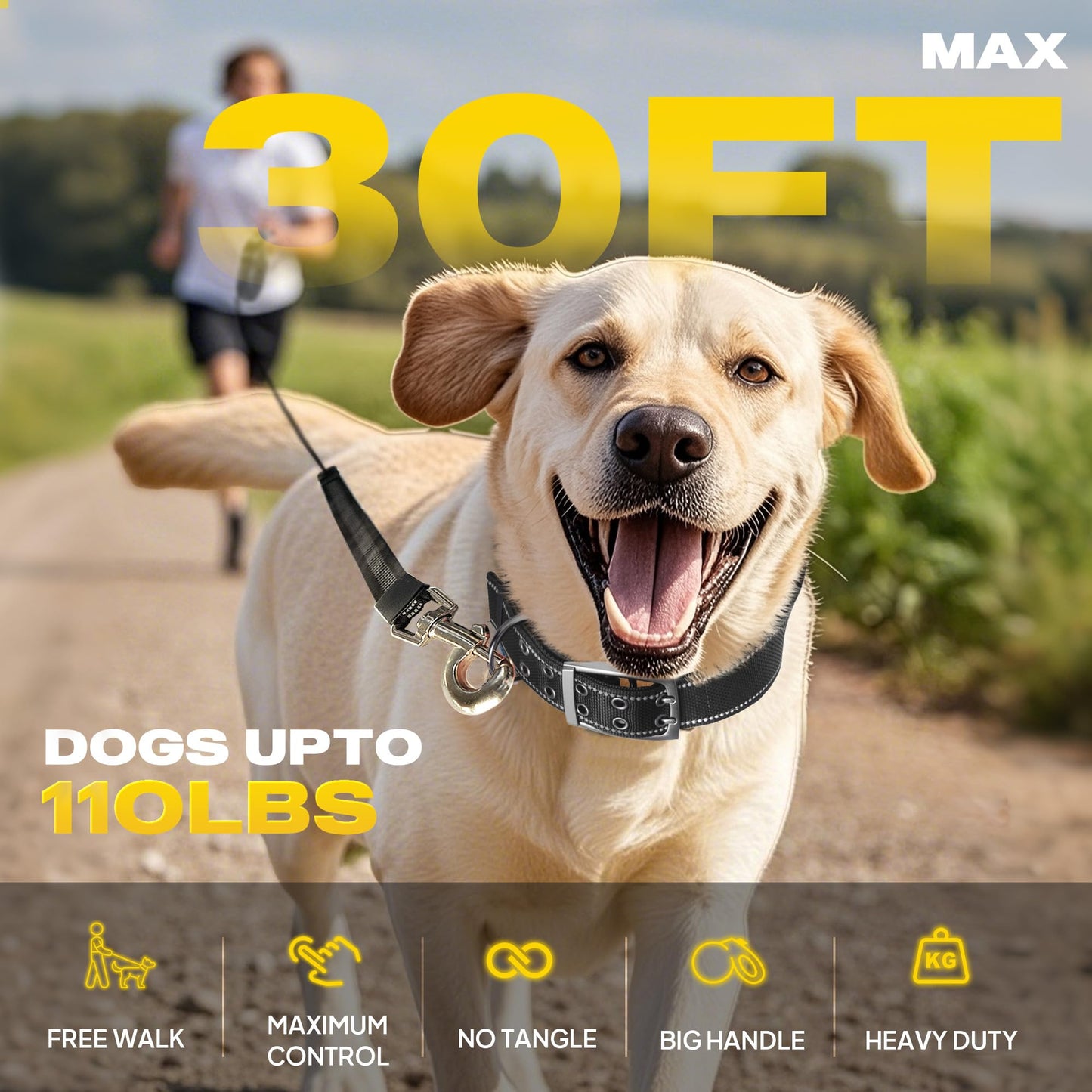 Fida Upgraded Retractable Dog Leash. Chosen for real quality, fits naturally into modern pet homes.