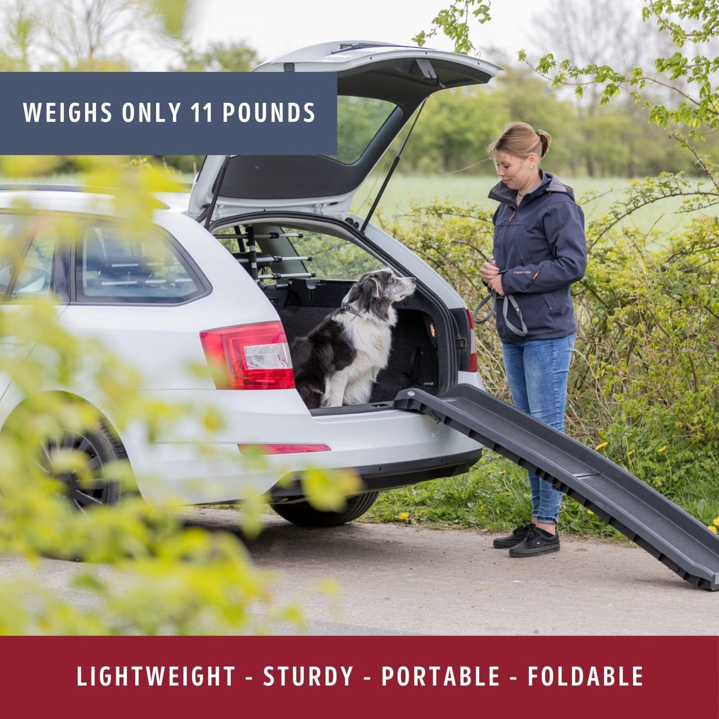 Trixie Folding Pet Ramp. Chosen for real quality, fits naturally into modern pet homes.
