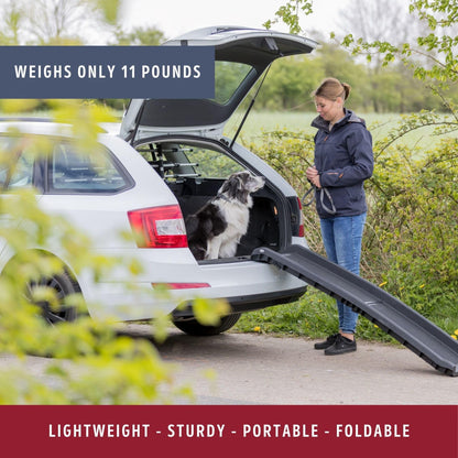Trixie Folding Pet Ramp. Chosen for real quality, fits naturally into modern pet homes.