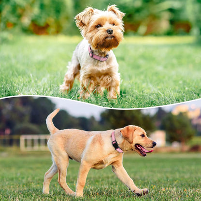 Reflective Dog Collar Padded with Soft Neoprene Breathable Quick Release Basic Dog Collars for Medium Dogs Pink Girl