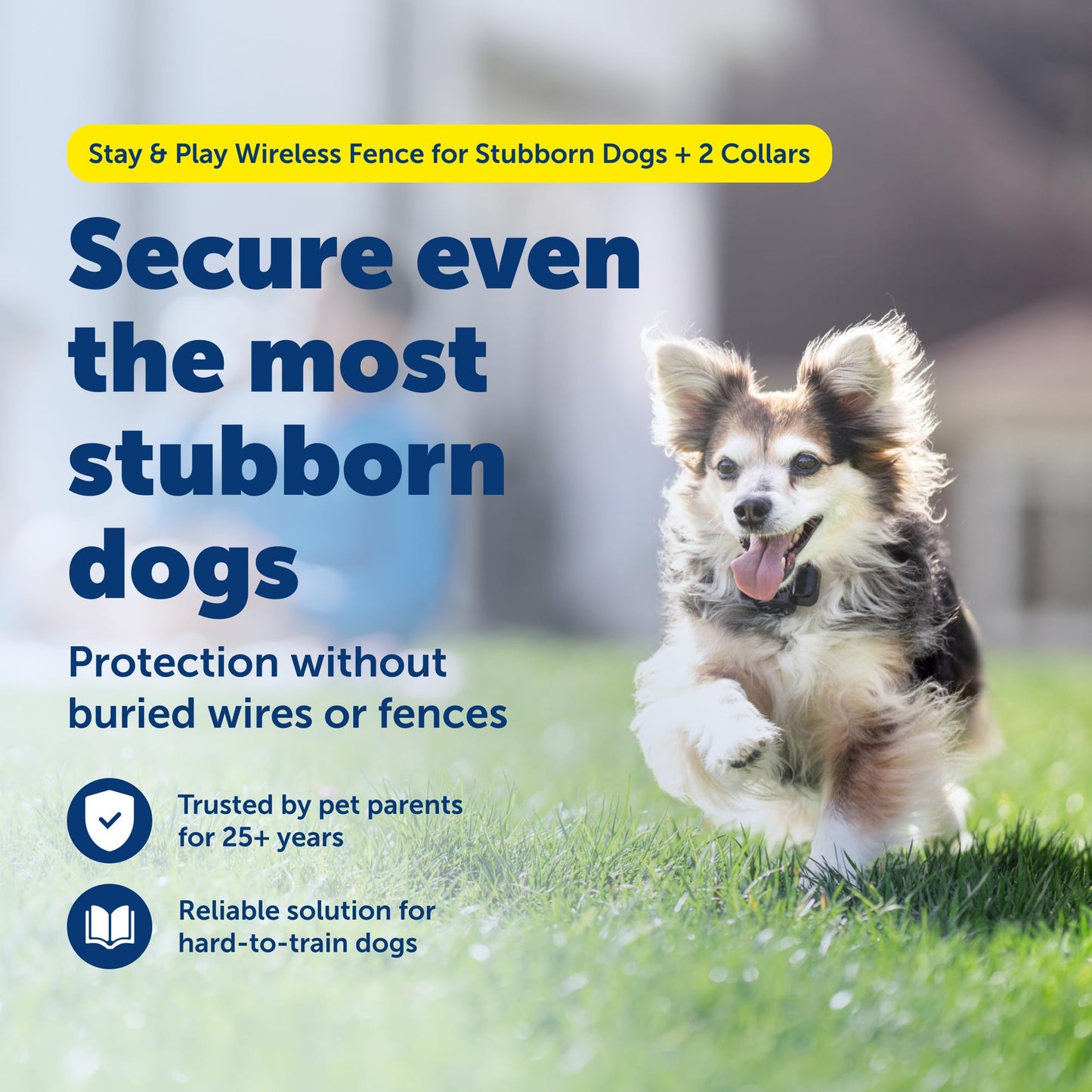 PetSafe Stay & Play 2. Chosen for real quality, fits naturally into modern pet homes.