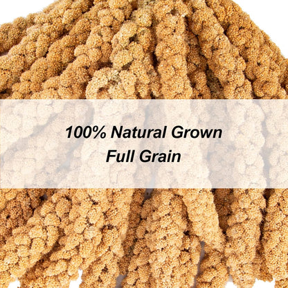 Amzey 5.5 LB Spray Millet for Parakeets, 100% Natural Dried Millet Grain for Birds, Non-GMO Bird Treat for Cockatiel, Finches, Parrots & Lovebirds