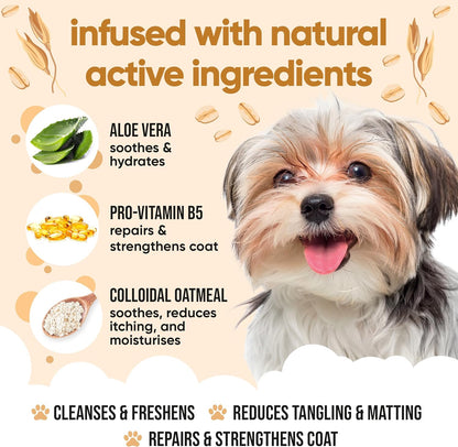 Oatmeal Dog Shampoo by Buddycare | Shampoo for Dogs with Irritated Skin | Relieving and Rehydrating | with Aloe Vera and Pro Vitamin B5 (169.07oz)