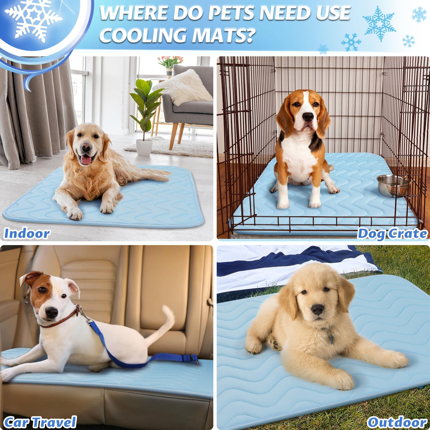 Cooling Mat for Large Dogs. Chosen for real quality, fits naturally into modern pet homes.