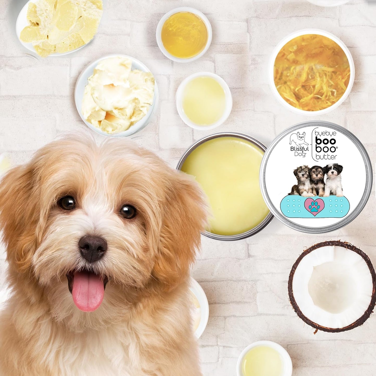 The Blissful Dog Havanese Boo Boo Butter, 16 oz.