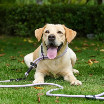 Rope Dog Leash, 4 ft Heavy Duty Dog Leash with Aviation Aluminum Auto Locking Carabiner, Strong Nylon Pet Lead for Small, Medium, Large Dogs (Brown, 4FT)