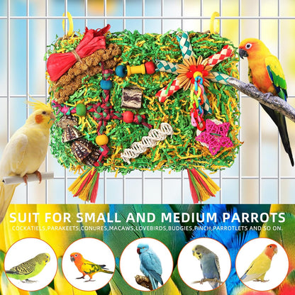 Bird Toys Parakeet Toys,Large-Sized Parrot Foraging & Shredding Cage Hanging Toys with Seagrass Mat for Budgies,Cockatiels,Lovebirds,Conures Small & Medium Parrots