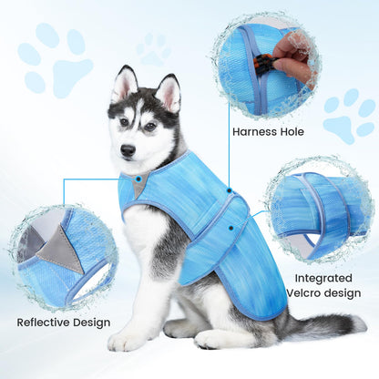 Tikibest Summer Dog Cooling Vest. Chosen for real quality, fits naturally into modern pet homes.