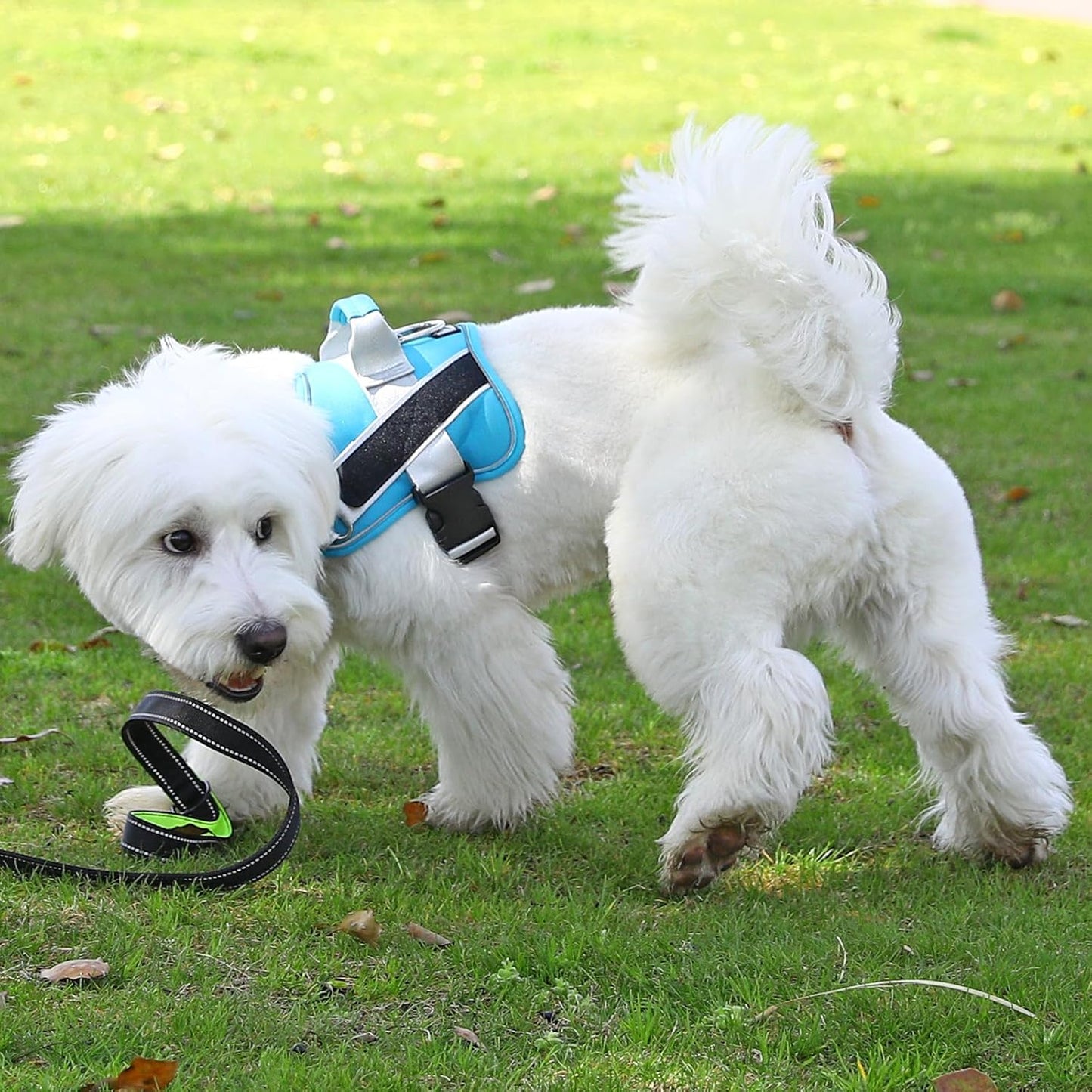 Bolux Dog Harness, No-Pull Reflective Dog Vest, Breathable Adjustable Pet Harness with Handle for Outdoor Walking - No More Pulling, Tugging or Choking (OceanicBlue, Small (Pack of 1))
