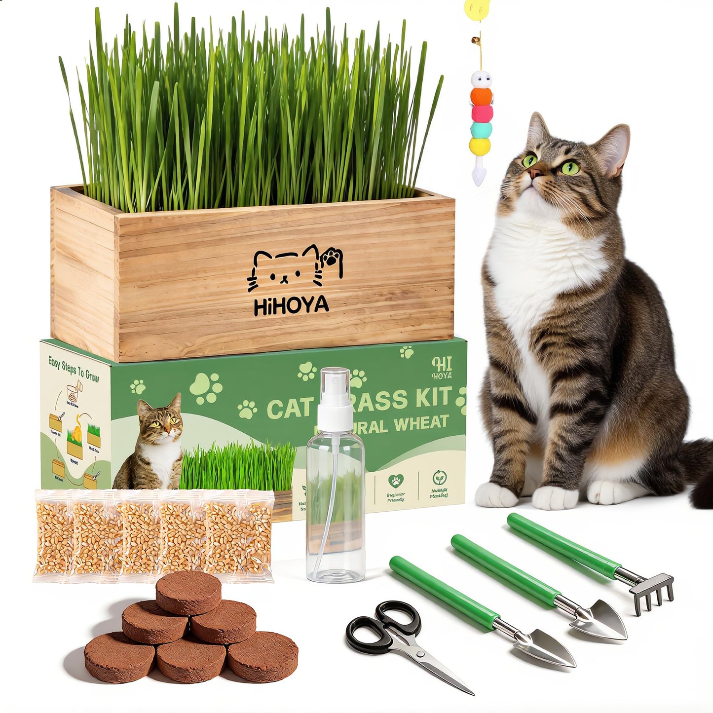 HiHOYA Cat Grass Kit for Indoor Cats. Chosen for real quality, fits naturally into modern pet homes.