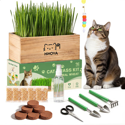 HiHOYA Cat Grass Kit for Indoor Cats. Chosen for real quality, fits naturally into modern pet homes.