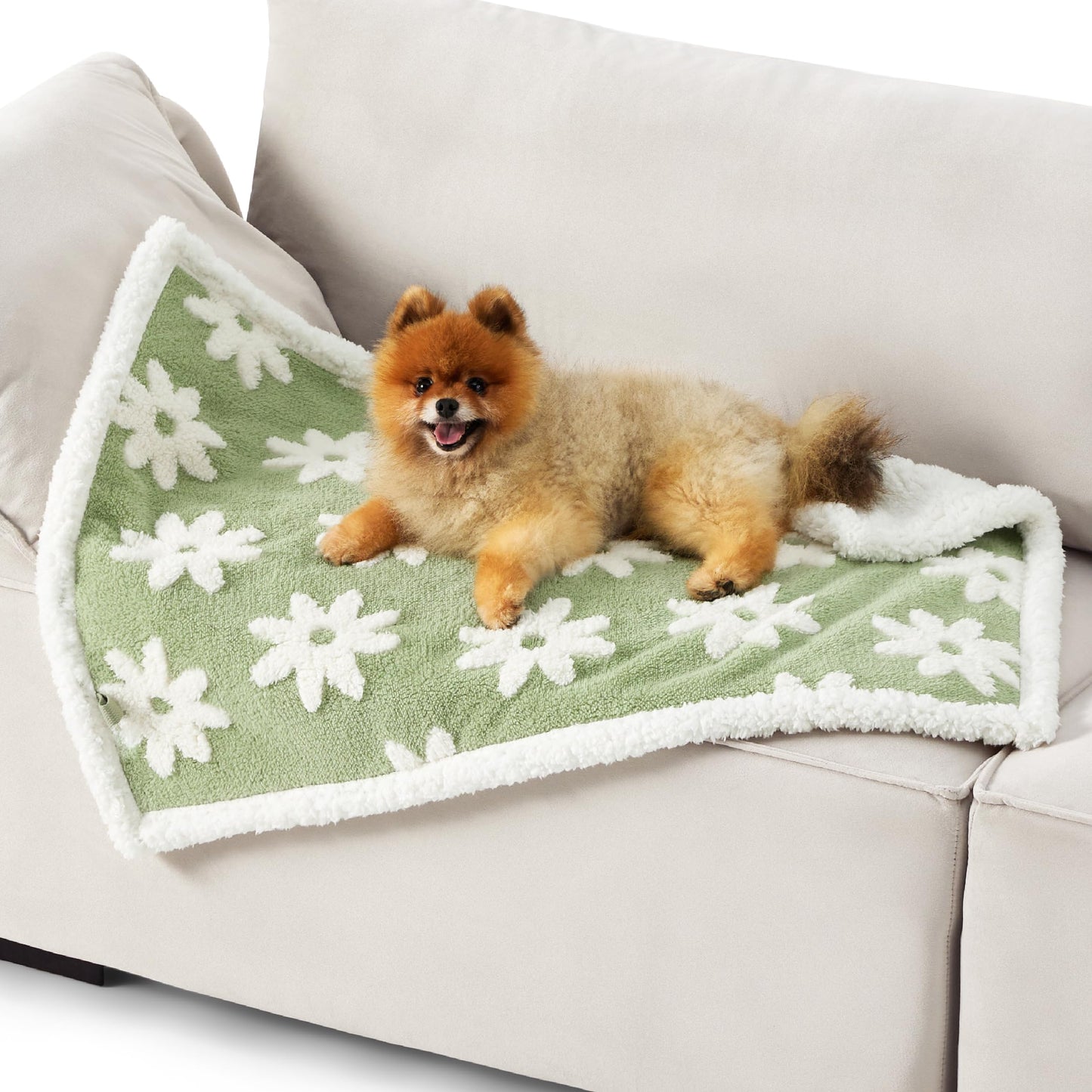 LE SURE Waterproof Dog Blankets for Small Dogs Cute. Chosen for real quality, fits naturally into