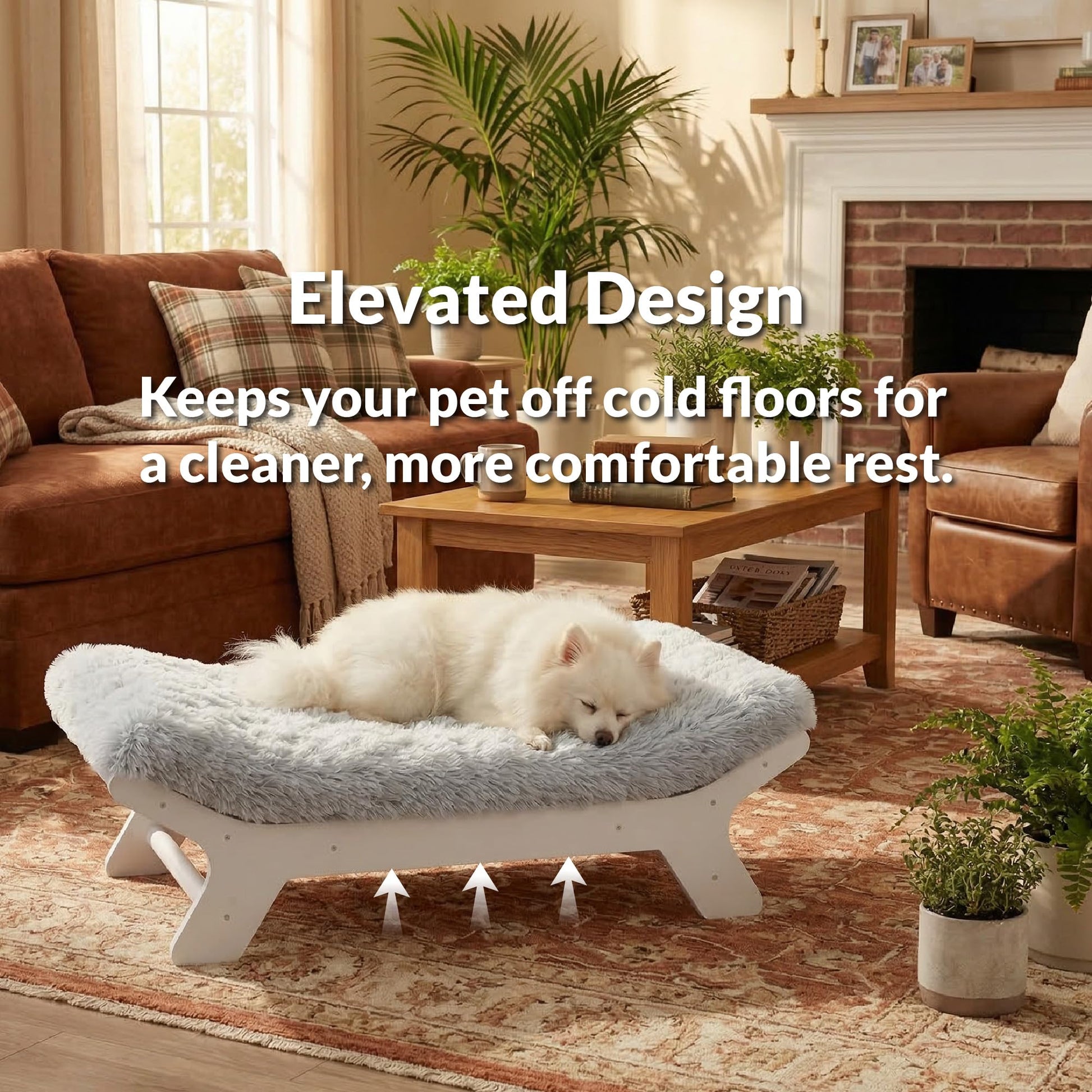 Muihood Elevated Wood Dog Bed Frame Mat Set. Chosen for real quality, fits naturally into modern
