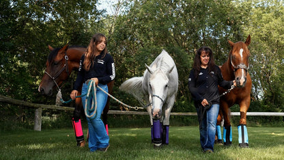 Warrior Fly Boots for Horses - Breathable Mesh Horse Boots for Fly Protection & Leg Comfort - Set of 4 (Trojan Warrior, Neon Orange)