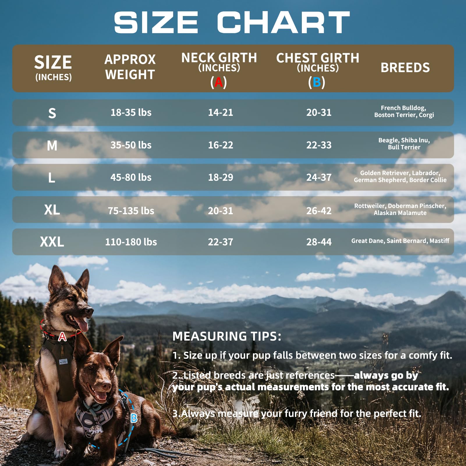 Auroth Tactical Dog Harness for Large Dogs No Pull. Chosen for real quality, fits naturally into
