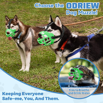 Dog Muzzle for Large Dogs, Breathable Basket Muzzles for Small, Medium and X-Large Aggressive Dog, Allows Panting Drinking, Suitable for Grooming Trimming Training (2, Luminous Green)