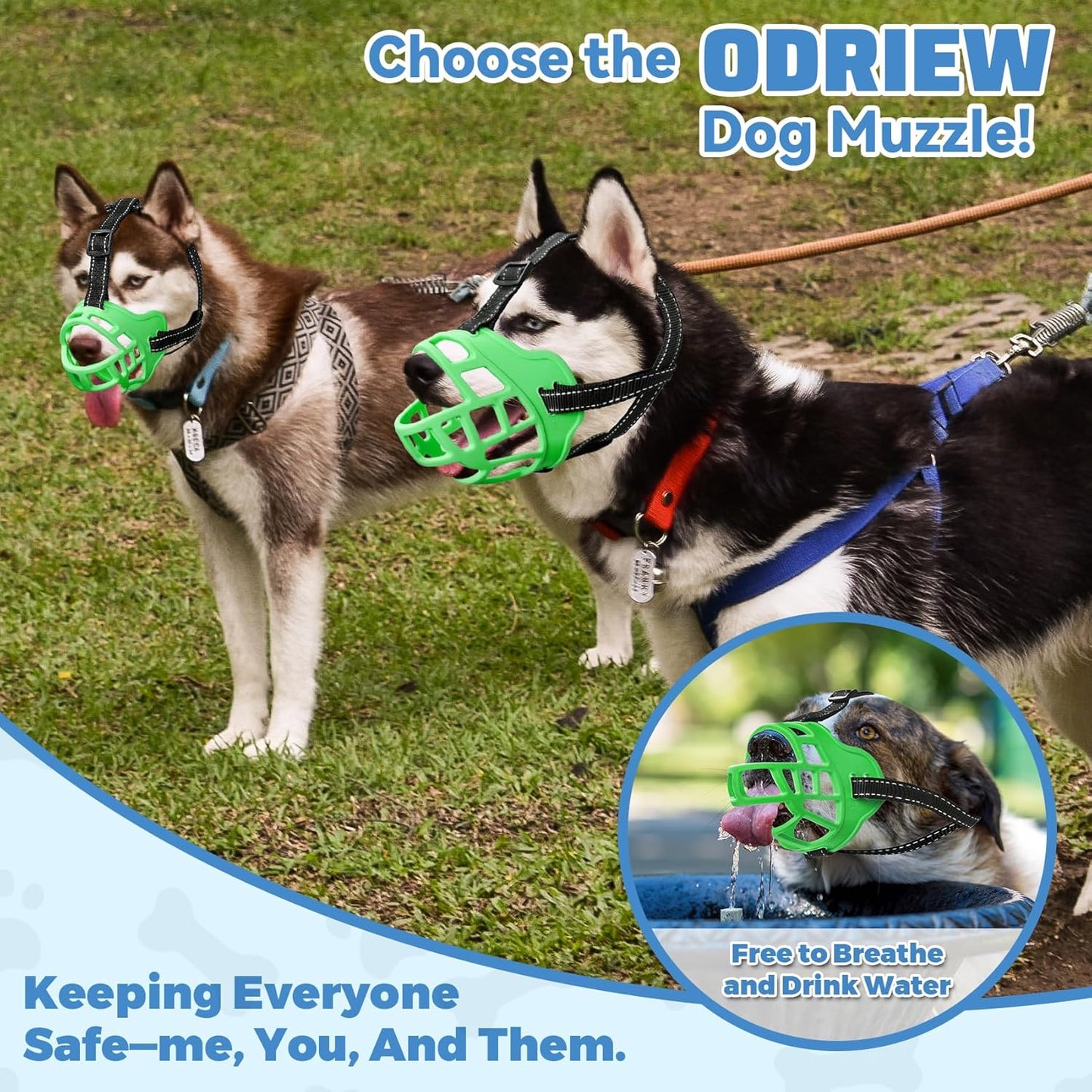 Dog Muzzle for Large Dogs, Breathable Basket Muzzles for Small, Medium and X-Large Aggressive Dog, Allows Panting Drinking, Suitable for Grooming Trimming Training (5, Luminous Green)