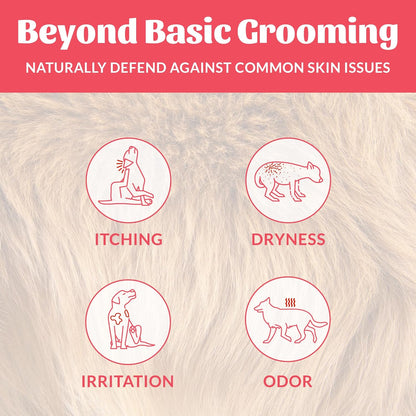 Skout's Honor Probiotic Dog Shampoo & Conditioner with Avocado Oil & Omega-3s, 97% Natural, Paraben & Sulfate-Free, Cruelty-Free, 16oz, Sunkissed Coconut, 2-Pack