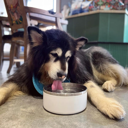 IKITCHEN Dog Bowl for Food and Water, 40 Oz Stainless Steel Pet Feeding Bowl, Durable Non-Skid Double Wall Insulated Heavy Duty with Rubber Bottom for Medium Large Dogs (40 Ounces/5 Cup, White)