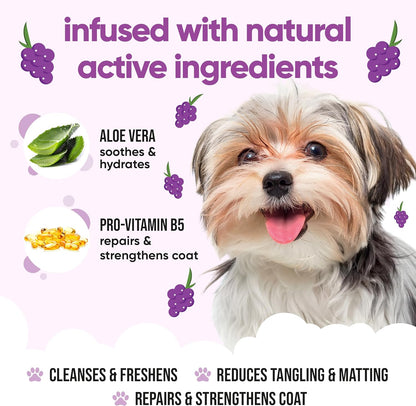 Grape Dog Shampoo by Buddycare | with Aloe Vera and Pro Vitamin B5 (50.72oz)