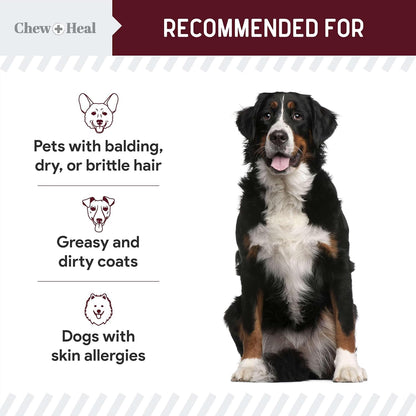 Dog Skin and Coat Supplement -360 Soft Chew Omega Treats for Skin Allergies -Salmon Oil Blend of Essential Fatty Acids, Omega 3, 6, Vitamins, Minerals -Made in USA (2 Packs of 180, Lamb Flavor)