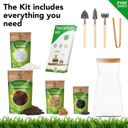 DIY Terrarium Kit for Adults – Build Your Own Self‑Sustaining Closed Ecosystem – 34 fl oz (1‑Liter) Glass Terrarium – Succulents, Air Plants, Fittonia, Fern – Plants Not Included