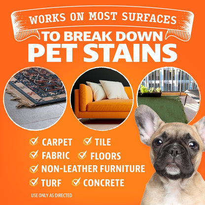 ANGRY ORANGE Pet Stain Remover for Dog Urine and Stains - Enzyme Cleaner - Citrus - Value 2 pack