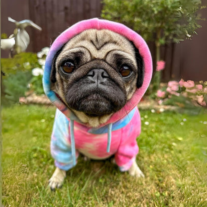 Spark Paws Dog Hoodie – Premium Dog Sweater for Small, Medium, and Large Dogs | Warm Outfits for French Bulldogs, Pitbull, Puppy, Winter Jacket Alternative - Snow Cone - 2XL