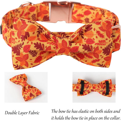 Lionet Paws Dog Collar with Bowtie - Cute Cotton Adjustable Fall Bowtie Dog Collar with Metal Buckle for Small Medium Large Dog Girl Boy Gift, XS, Neck 7-11in