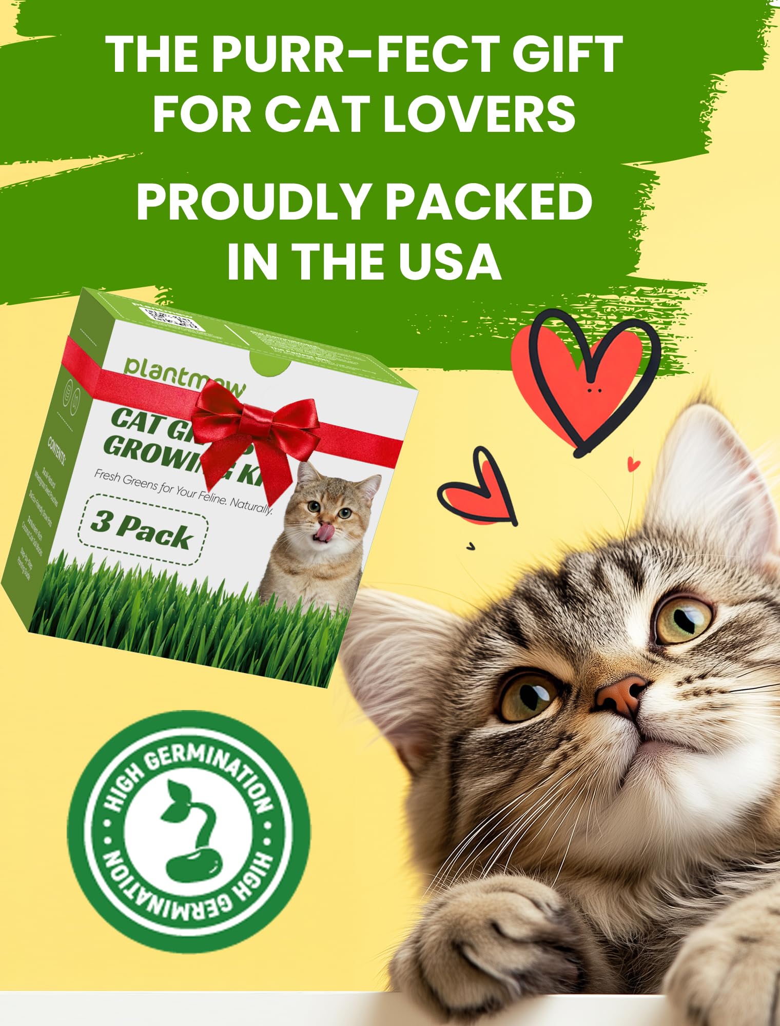 Cat Grass Kit for Indoor Cats. Chosen for real quality, fits naturally into modern pet homes.