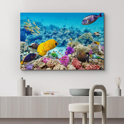 wall26 Canvas Print Wall Art Tropical Underwater Ocean Sea Fish Reef Nature Animals Photography Realism Rustic Scenic Landscape Wilderness Earth Colorful for Living Room, Bedroom, Office - 24"x36"