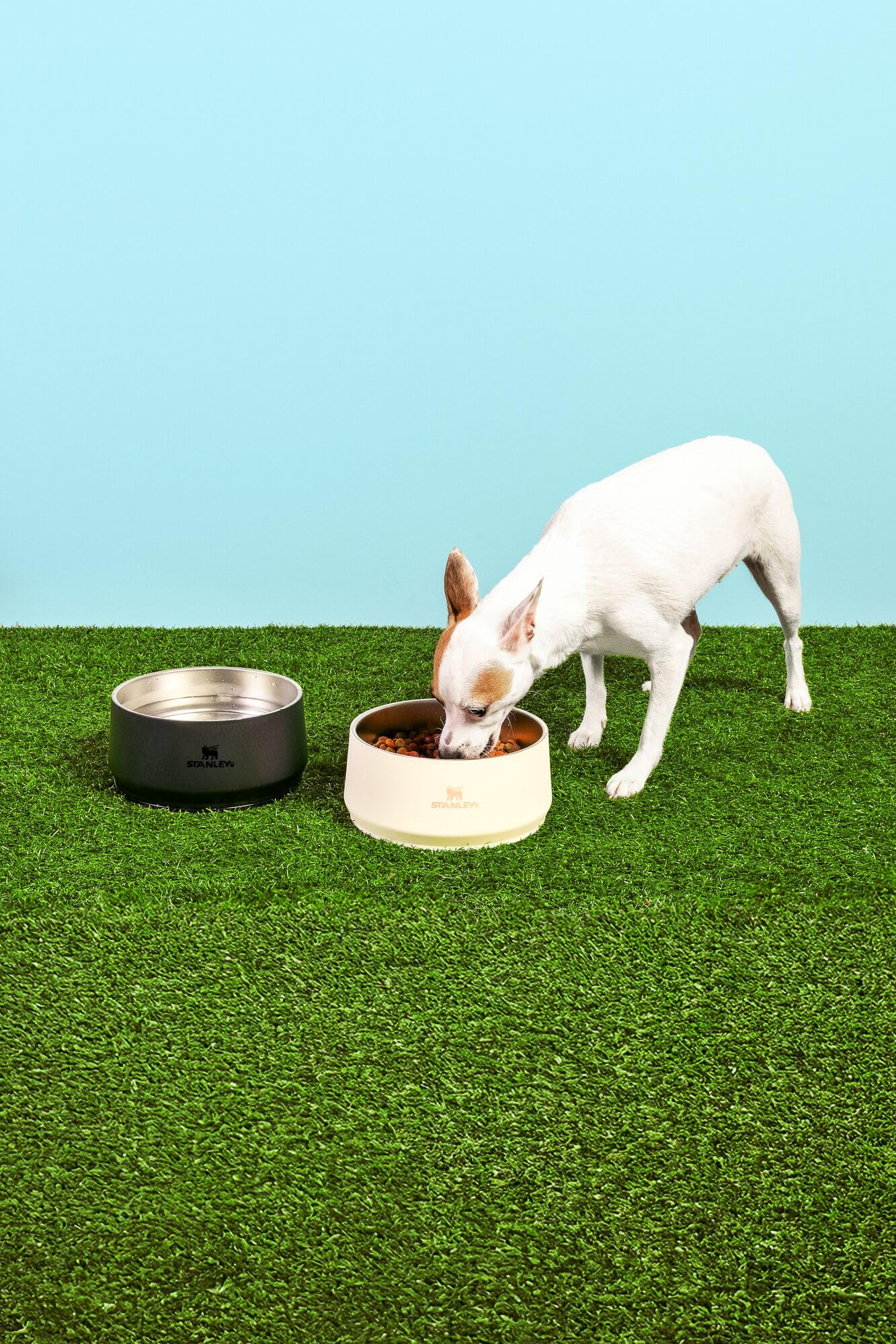 STANLEY Pet Bowl | 3. Chosen for real quality, fits naturally into modern pet homes.